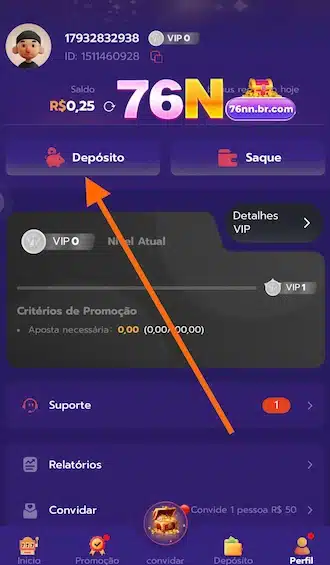 🎀 Passo 1: Entre na sua conta